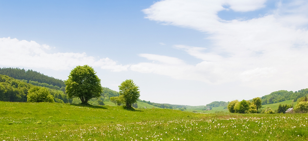 https://2024.koehldorfner.de/wp-content/uploads/2015/07/hochsitze_jaegerstaende_jagdkanzeln_1000x400px.jpg